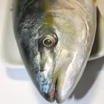 CABEZAS DE JUREL