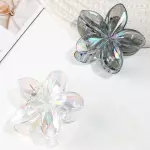 Pinza transparente(copy)
