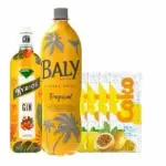 COMBO GIN KYRIOS TROPICAL