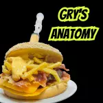 (Hv) GREY'S ANATOMY