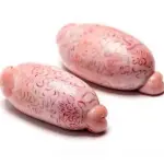 CREADILLA