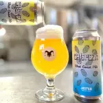 JESTER CHISPEZA 4.5° LATA 473cc