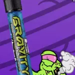 Gravity House prerolls