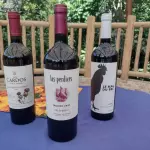 Vinho tinto argentino
