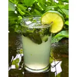 MOJITO