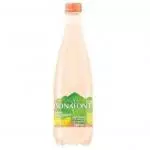 Água c/gás saborisada lemon squeeze