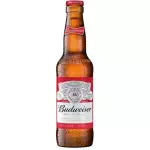 BUDWEISER🍺