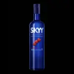 Skyy