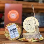 GORGONZOLA DE COLHER