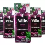 SUCO DELVALLE