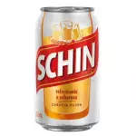 Shin