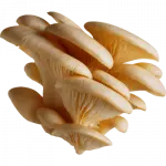 Orellana  x500gr