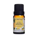 Essência Frutas Tropicais Caszulo