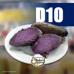 Cará roxo cozido
