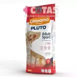 Pluto Sport