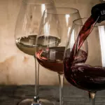 Vino tinto / Botella