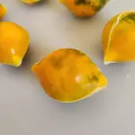 Limãozino siciliano