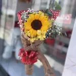 Sol único ☀️