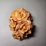 Rosas naranjas