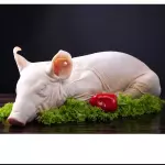 Cochinillo x Pieza