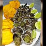 Conchas