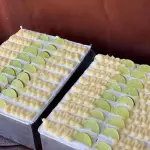 Limão com frutas vermelhas pré- vend