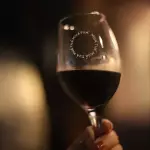 VINHO CONVENCIONAL na taça