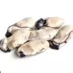 一盒生蚝肉 ostion