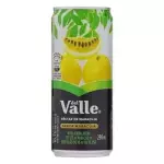 Suco Del Valle Maracujá 290ml