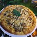 Pizza pollo y champiñones ....