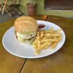 Bela Gil (vegetariano) 🌱