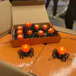 CY27-VELA DE ARAÑA Y CALABAZA