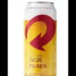 Skol latão 437ml