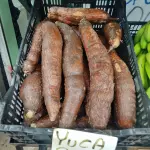 Yuca