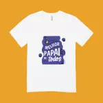 Camisas personalizadas (poliéster)