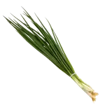 Cebolinha