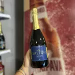 SALTON BRUT 750ML