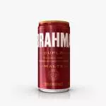 Brahma duplo malte 269 ml