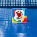 Ping Pong Table