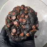 Cookie double chocolate