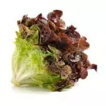 LECHUGA ROSA