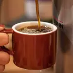 Batch Brew