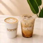 Vainilla Sugar Free Latte