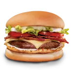 BURGUER TUDO