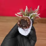 Brigadeiro Tradicional