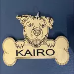 Chapas de Mascotas