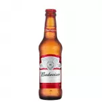 Cerveja Budweiser Long Neck