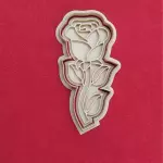 Rosa (Cs/S)