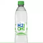 H2O 500cc