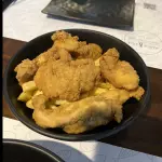 TENDERS DE POLLO